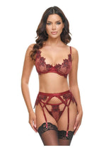 Load image into Gallery viewer, Oh LA LA Cheri Nina - Red - Large - 3 Piece/Set