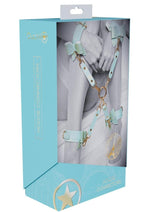 Load image into Gallery viewer, Ouch! Paris Collection Hogtie Connectors - Blue