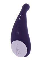 Load image into Gallery viewer, Panty Party Rechargeable Silicone Vibrator with Remote - Purple
