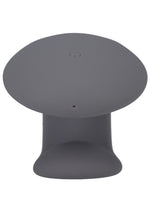 Load image into Gallery viewer, Petl Rechargeable Silicone Couples Massager
