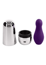 Load image into Gallery viewer, Playboy The Jet Set Vibrator Rechargeable Silicone Clitoral Stimulator - Purple/Silver
