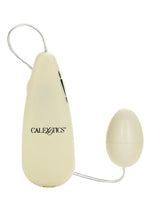 Load image into Gallery viewer, Pocket Exotics Glow In The Dark Egg- Glow - Glow In The Dark/Ivory

