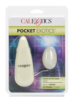Load image into Gallery viewer, Pocket Exotics Glow In The Dark Egg- Glow - Glow In The Dark/Ivory
