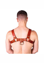 Load image into Gallery viewer, Prowler Red Butch Harness - XLarge - Brown/Brass - Brown - XLarge