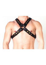 Load image into Gallery viewer, Prowler Red X Chest Harness - XXLarge - Black/Brass - Black/Metal