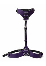 Load image into Gallery viewer, Punishment Body Harness - Silver