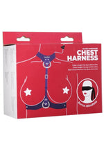 Load image into Gallery viewer, Punishment Body Harness - Silver