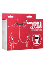 Load image into Gallery viewer, Punishment Choker and Nipple Clamps - Rose Gold
