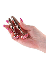Load image into Gallery viewer, Rear Assets Tapered Trainer Chrome Plated Anal Plugs Kit