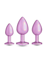 Load image into Gallery viewer, Rear Assets Trainer Chrome Plated Anal Plugs Kit (3pc Set) - Iridescent - Pink