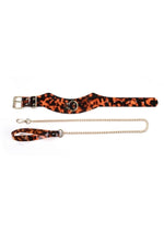 Load image into Gallery viewer, Sincerely Amber Collar and Leash
