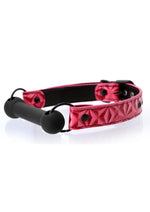 Load image into Gallery viewer, Sinful Silicone Bar Gag - Pink
