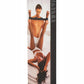 Sportsheets Bondage Bar - Black - 24in