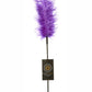 Sportsheets Ostrich Feather Tickler - Purple