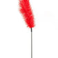 Sportsheets Ostrich Feather Tickler - Red