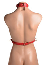 Load image into Gallery viewer, Strict Female Chest Harness