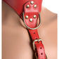 Strict Female Chest Harness