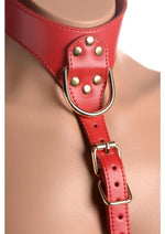 Load image into Gallery viewer, Strict Female Chest Harness