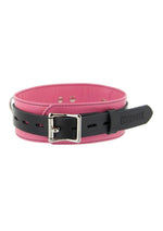 Load image into Gallery viewer, Strict Leather Deluxe Locking Collar - Black/Pink
