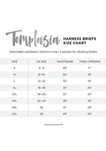 Load image into Gallery viewer, Temptasia Harness Briefs - 3xl