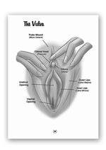Load image into Gallery viewer, The Mystery Of The Undercover Clitoris Book By Dr. Sadie Allison