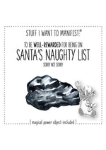Load image into Gallery viewer, Warm Human Naughty List
