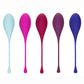 Front view of the Kegel Training Set (5pc assorted colors), from CalExotics.