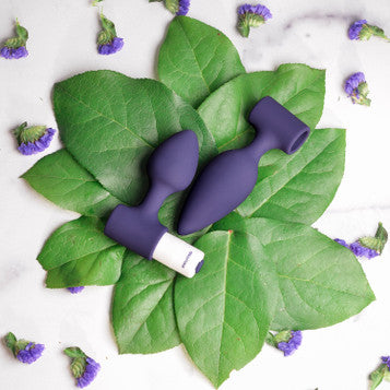 Top view of the Evolved Dynamic Duo Rechargeable Silicone Vibrating Butt Plug Set (purple).