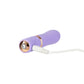 Photo shows where to plug the USB charging cord into the toy (purple).