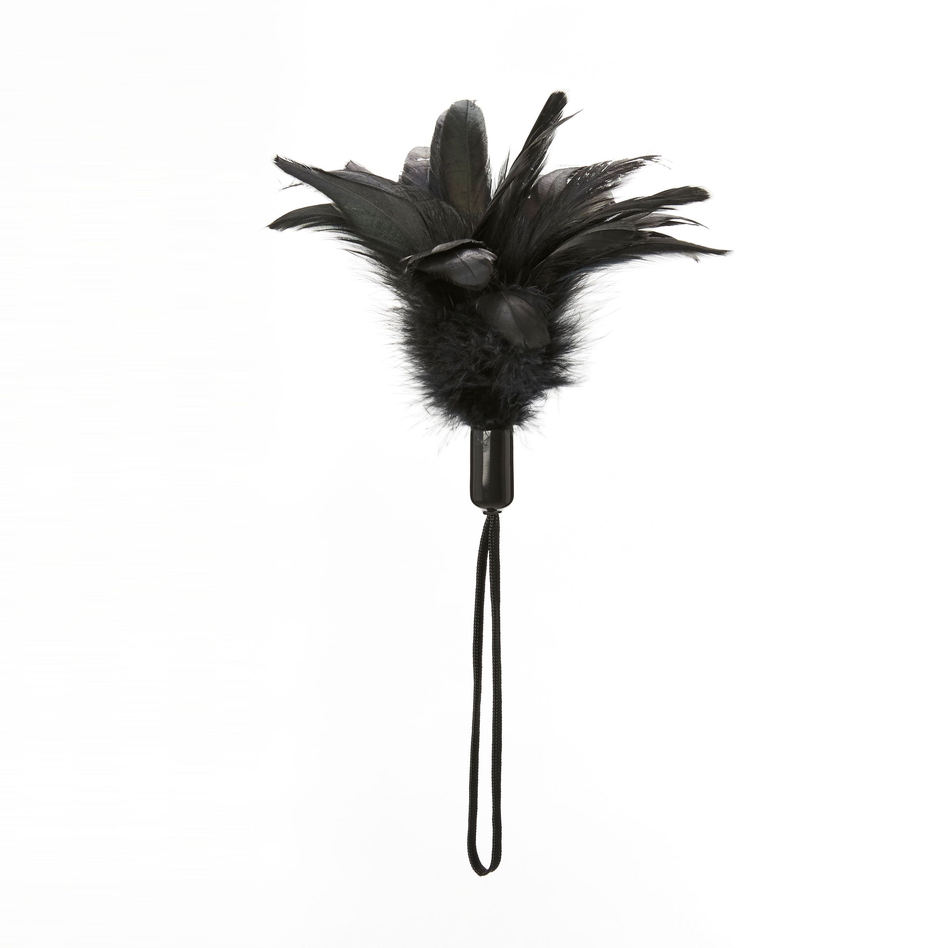 Photo of one of the Pleasure Feathers (black).