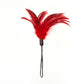 Photo of one of the Pleasure Feathers (red).