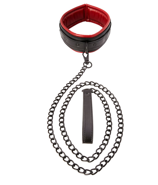 Front view of the collar and leash showing the dimensions of the collar and length of the chain leash.