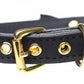 Close-up image of gold buckle hardware on the black collar.
