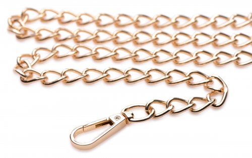Close-up of the gold chain leash and hook.