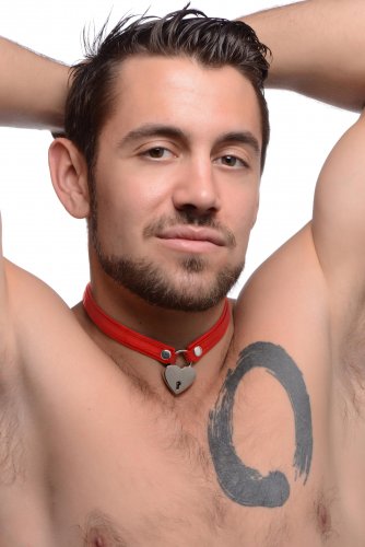 Man wearing the collar (red version).