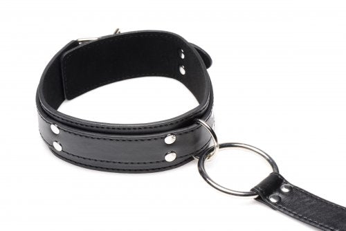 Close-up of the collar portion of the restraints with the long strap attached.