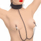 Illustration of a woman wearing the collar and nipple clamps.
