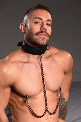 Photo of a man wearing the collar and clamps attached to his nipples.