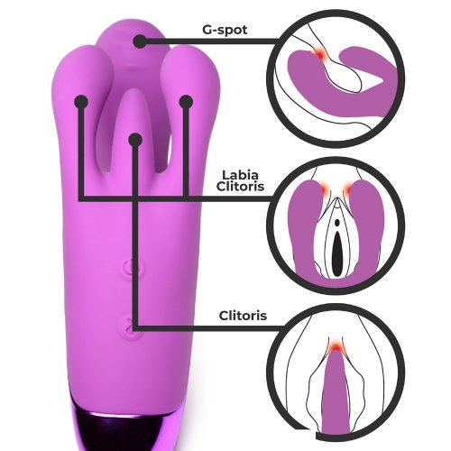 Diagram of the parts of the vibrator with images on the side showing what each part is for: g-spot, labia clitoris, and clitoris.