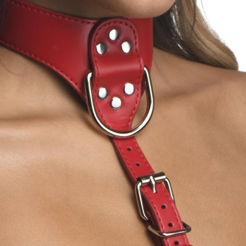 Close-up of a woman wearing the harness and the hardware and buckle at the base of the front of the neck;