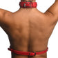 Photo of the back of a woman wearing the harness. It shows the buckle at the back of the neck and in the middle of the back.